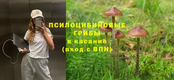 прущий лед Верея